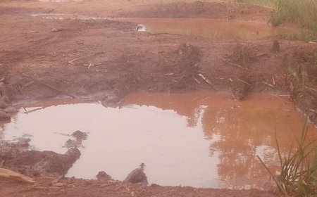 Kayonza: Babangamiwe n'umuhanda wadindije ubuhahirane