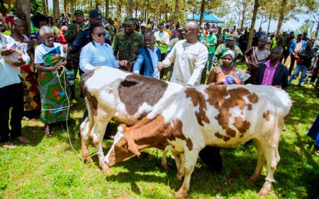 Kayonza:  Imbamutima z'abaturage borojwe amatungo muri gahunda y'ibikorwa by'Ingabo na Polisi