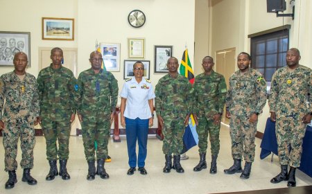 Jamaica: RDF imaze kubaka inzu 62 mu zari zarasenywe n'ibiza