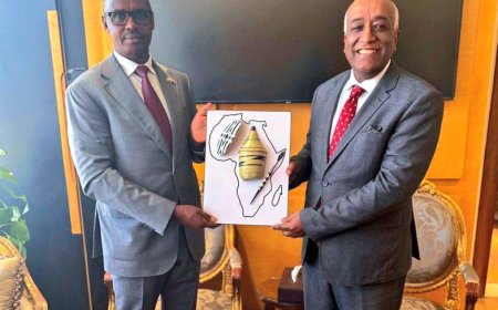 U Rwanda na Misiri baganiriye ku gushimangira ubufatanye mu nzego zitandukanye