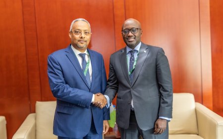 Minister Nduhungirehe meets Abdoulkader Houssein Omar to deepen Rwanda–Djibouti relations