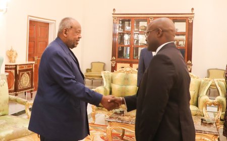 Minister Nduhungirehe delivered Kagame’s special message to Djibouti President