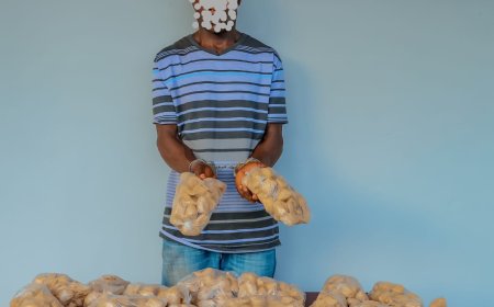 Musanze: Yafatanywe ibiro bisaga 6 by’urumogi arimo kurukwirakwiza