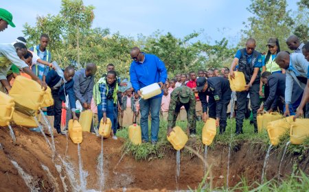 Nyagatare: Hangijwe ibiyobyabwenge birimo urumogi na kanyanga bifite agaciro k'arenga miliyoni 56 frw