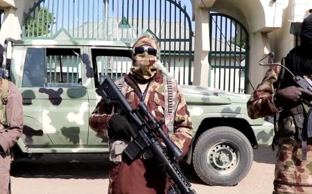 Nigeria: ISWAP yahaye leta amasaha 72 yo kuba irekuye abarwanyi bayo yataye muri yombi