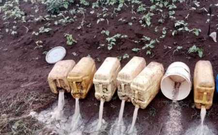 Amajyaruguru:  Hangijwe litiro zirenga ibihumbi 157 z'inzoga zutujuje ubuziranenge