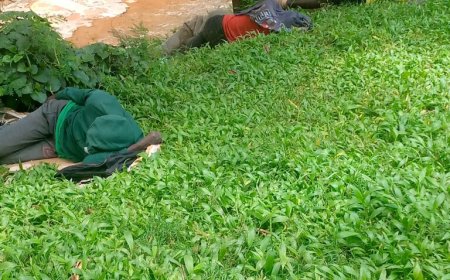 Nyarugenge: Batewe impungenge n'insoresore zibategera kuri mpazi zikabambura