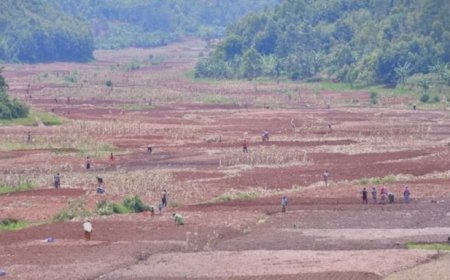 Gisagara: Ubuhinzi bwa soya bwitezweho gufasha impunzi kwikura mu bukene no kurwanya imirire mibi