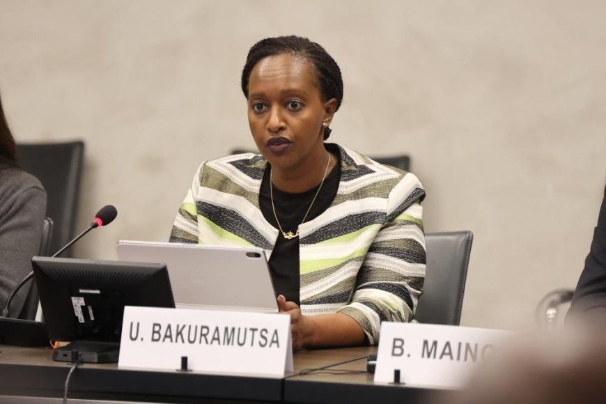 Amb. Urujeni Bakuramutsa: Eastern DRC insecurity persists for over three decades