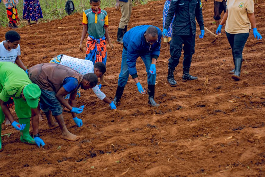 Ngoma: Abahinzi basabwe guhinga bakoresheje uburyo bwongera umusaruro