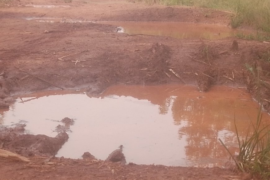 Kayonza: Babangamiwe n'umuhanda wadindije ubuhahirane