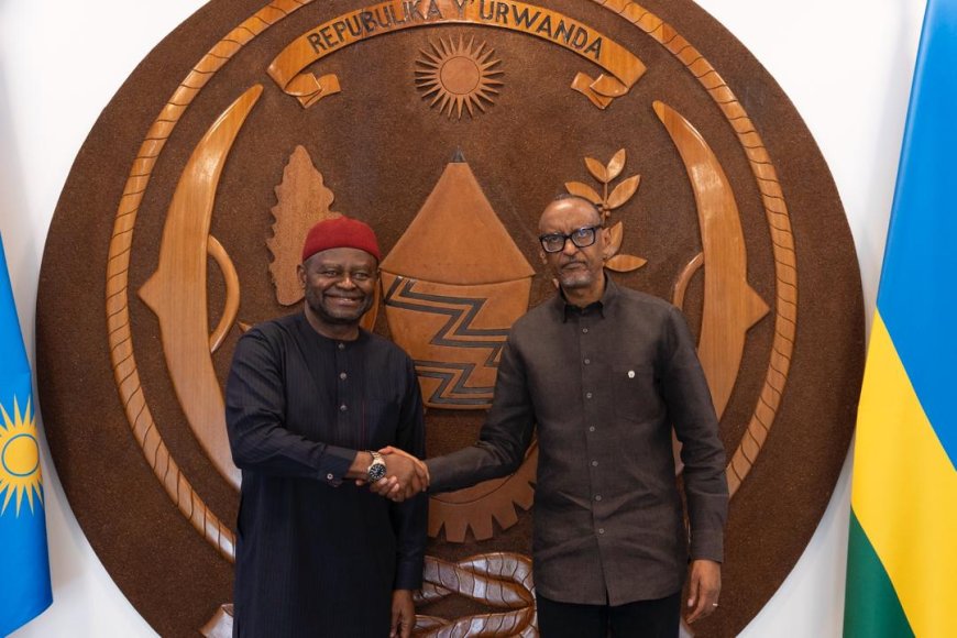 President Kagame Bids Farewell to UN Resident Coordinator Dr. Ozonnia Ojielo