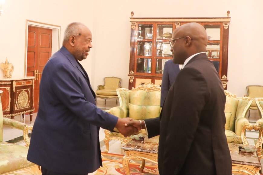 Minister Nduhungirehe delivered Kagame’s special message to Djibouti President