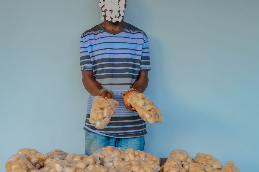 Musanze: Yafatanywe ibiro bisaga 6 by’urumogi arimo kurukwirakwiza