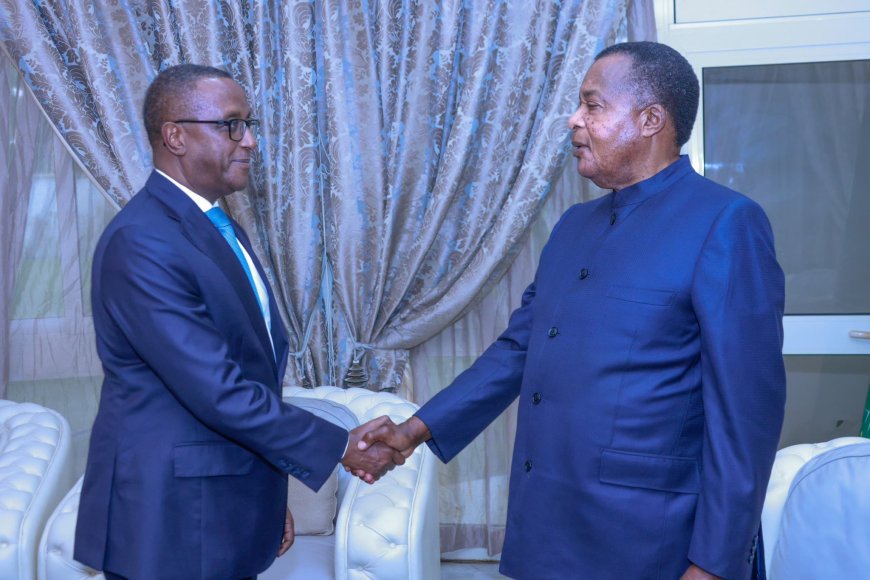 Minister Dr. Biruta Conveys Kagame’s Message to President Sassou N’Guesso