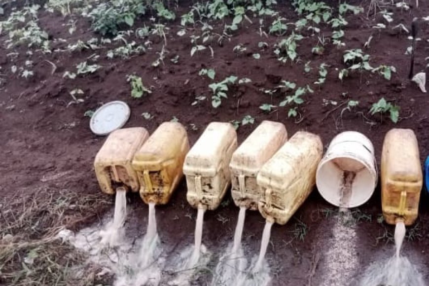 Amajyaruguru:  Hangijwe litiro zirenga ibihumbi 157 z'inzoga zutujuje ubuziranenge