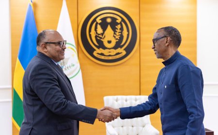 President Kagame Receives Tanzania’s Foreign Minister to Strengthen Bilateral Cooperation