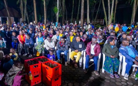 Musanze: 214 barimo abahoze mu mitwe yitwaje intwaro basubijwe mu buzima busanzwe