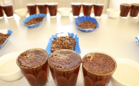 Rwanda Coffee Ranks Top 5 Among 48 Entries Globally