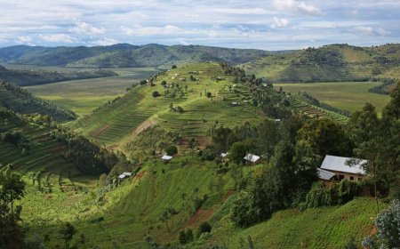 NLA yasabye abaturage kwirinda ibihano byo gukoresha ubutaka ibihabanye n’icyo bwagenewe