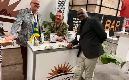 Rwanda Strengthens Coffee Market Presence in Europe Through Netherlands Partnership.