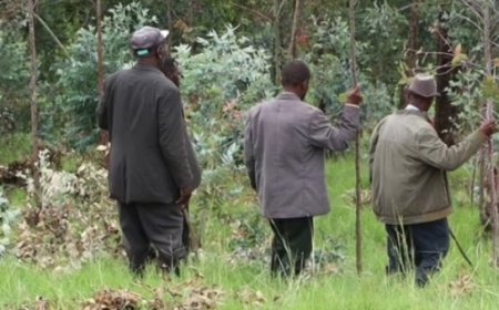 Gicumbi: Umusaza yishwe akaswe ijosi umutwe uburirwa irengero