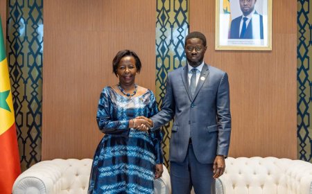 Senegal President Bassirou Diomaye Faye Meets OIF Secretary-General Louise Mushikiwabo to Strengthen Francophone Cooperation