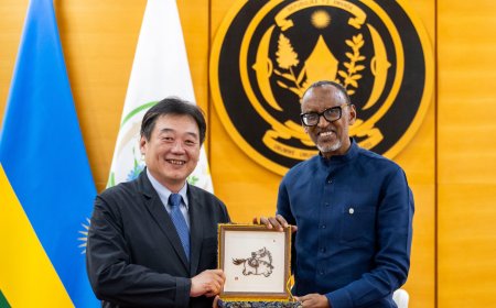 President Kagame Holds Talks with Chinese Investor on Electric Vehicle Manufacturing in Rwanda