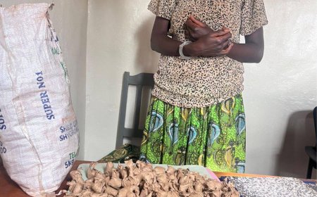 Kigali: Polisi yafashe babiri barimo umugore ucuruza urumogi