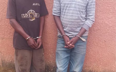 Kigali: Babiri batanywe ibiro bibi n' udupfunyika 237 by’urumogi( Amafoto)