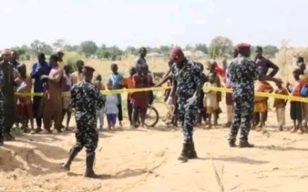 Islamic State claims deadly attack that killed 29 people in Adamawa, Nigeria