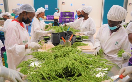 Rwanda Records $3.6 Billion in Exports and Strong Investment Growth