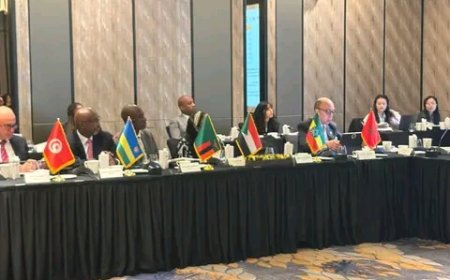 Rwanda participates in high-level consultative meeting ahead of korea–africa Cooperation Summits 2026