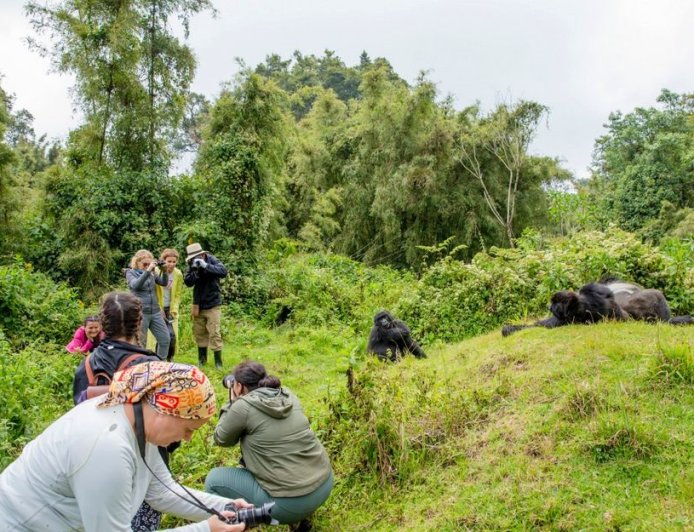 U Rwanda rwinjije asaga miliyari 997 Frw mu bukerarugendo mu 2025