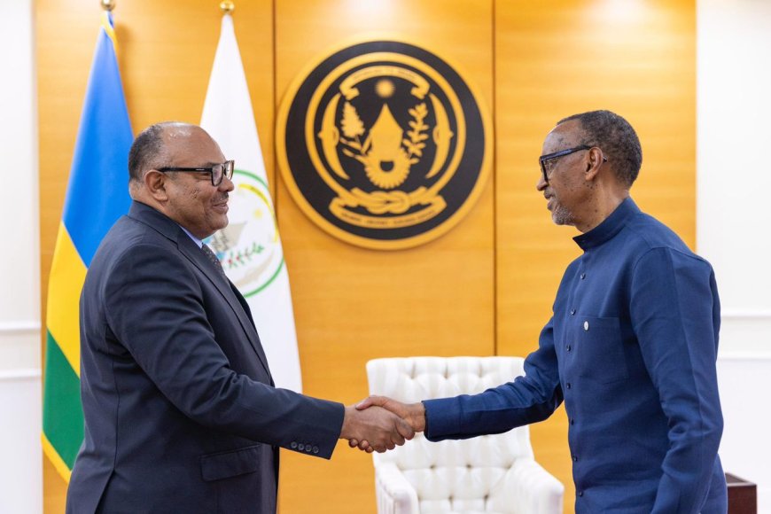 President Kagame Receives Tanzania’s Foreign Minister to Strengthen Bilateral Cooperation