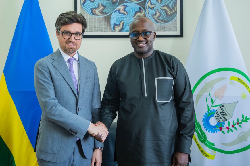 Ubufatanye bw’u Rwanda n’u Busuwisi bugiye kongerwamo imbaraga nshya