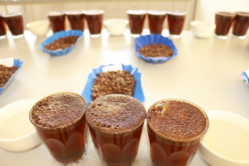 Rwanda Coffee Ranks Top 5 Among 48 Entries Globally