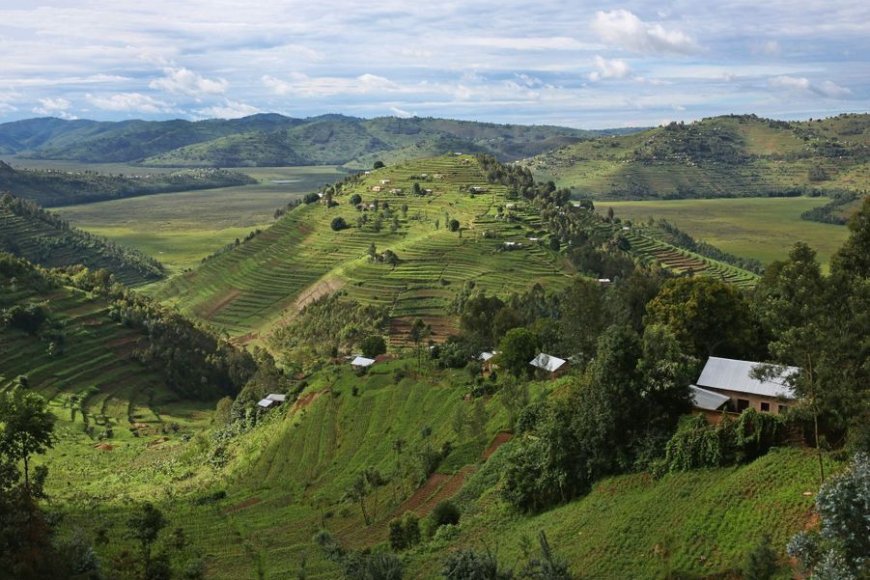 NLA yasabye abaturage kwirinda ibihano byo gukoresha ubutaka ibihabanye n’icyo bwagenewe