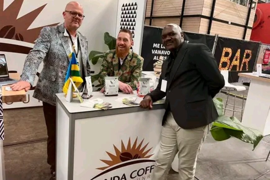 Rwanda Strengthens Coffee Market Presence in Europe Through Netherlands Partnership.