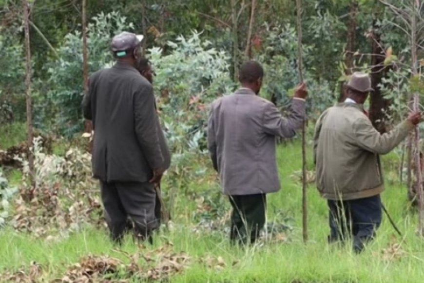 Gicumbi: Umusaza yishwe akaswe ijosi umutwe uburirwa irengero