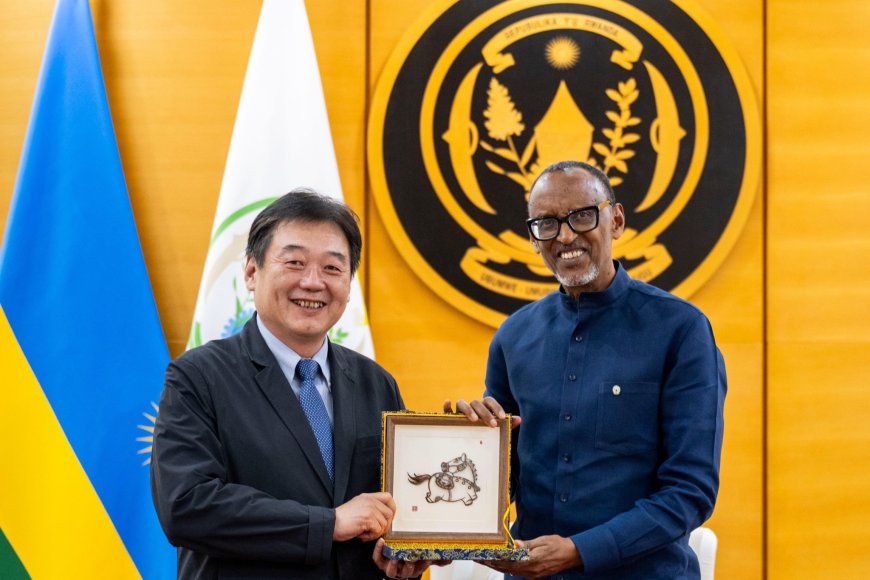 President Kagame Holds Talks with Chinese Investor on Electric Vehicle Manufacturing in Rwanda