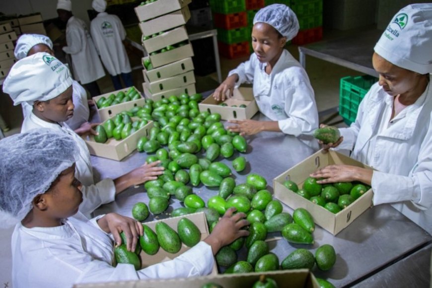 NAEB yatangaje ko ibikomoka ku buhinzi byinjije arenga miliyari 14 Frw mu minsi itanu