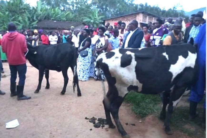 MUHANGA : Imiryango 15 itishoboye yorojwe inka isabwa kuzibyaza umusaruro