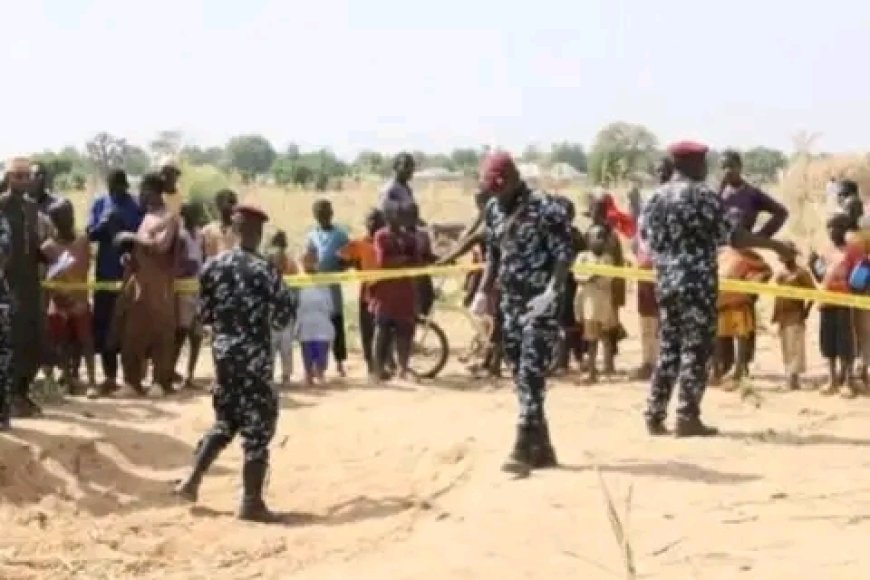 Islamic State claims deadly attack that killed 29 people in Adamawa, Nigeria