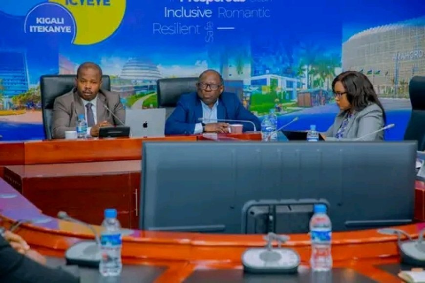 Senate committee urges acceleration of infrastructure development in Kigali Industrial Zones