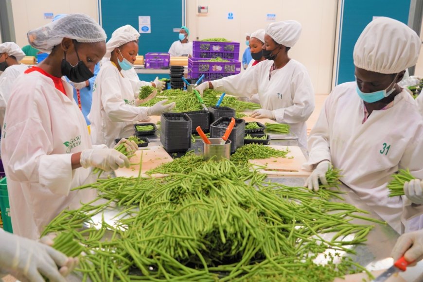 Rwanda Records $3.6 Billion in Exports and Strong Investment Growth