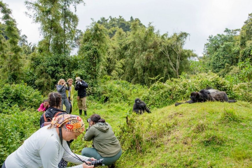 U Rwanda rwinjije asaga miliyari 997 Frw mu bukerarugendo mu 2025