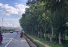 Muhanga: 12 bakekwaho ubujura batawe muri yombi