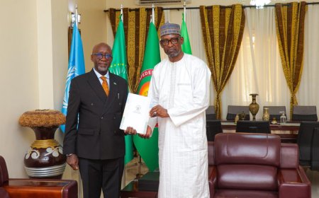 Amb. Bizimana Presents Credentials in Mali, Reaffirms Rwanda–Mali Cooperation