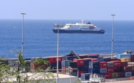 Hantavirus outbreak leaves 150 passengers stranded on cruise ship near Cape Verde